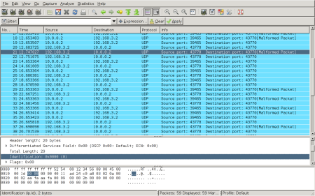 GDB and gPXE trying to talk to each other over UDP.